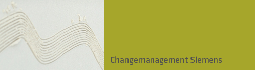 Changemanagement Siemens
