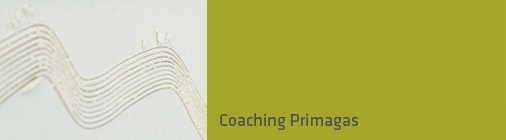 Coaching Primagas | o-p-e-n.net